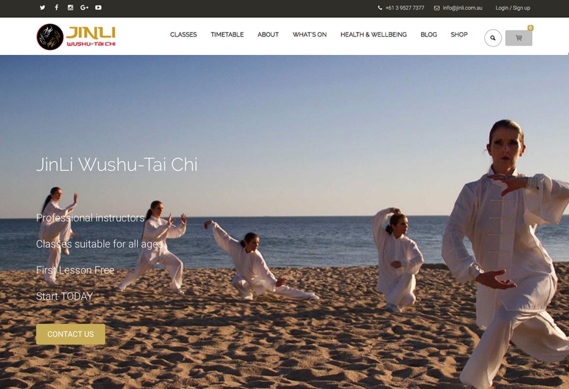 Jinli Wushu-Taichi