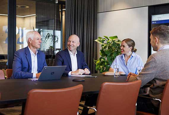 Wallis and Payne - Brochure Website Design